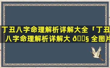 丁丑八字命理解析详解大全「丁丑八字命理解析详解大 🐧 全图片」